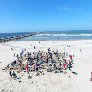 samen een indrukwekkende mega zandsculptuur creëren